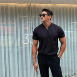 Wexleyjesus Summer Men Business Causal T-shirt Beach Fashion Thin Stand Collar Solid Tee V-neck Breathable Fitness Korean Streetwear Tops