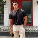 Wexleyjesus Summer Men Business Causal T-shirt Beach Fashion Thin Stand Collar Solid Tee V-neck Breathable Fitness Korean Streetwear Tops