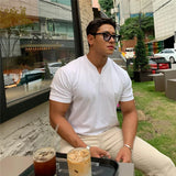 Wexleyjesus Summer Men Business Causal T-shirt Beach Fashion Thin Stand Collar Solid Tee V-neck Breathable Fitness Korean Streetwear Tops