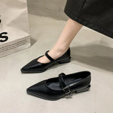 Wexleyjesus  - 2024 New Retro Fashion Women's High Heels Pointed Toe Mary Jane Pumps Shallow Mouth Simple Thick Heel Women's Shoes