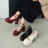 Wexleyjesus Designer Platform Women Mary Jane Shoes Fashion Elegant Double Buckle Thick Heel Shoes Ladies Dress Pumps High Heel Party Shoes