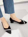 Wexleyjesus Contrast Color Pointed-Toe V-Cut Pumps